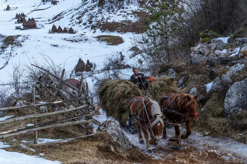 Lucrări realizate de zeci de artiști fotografi prezintă frumusețile satului românesc într-o expoziție națională la Cluj Napoca