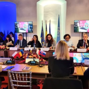 Conferinţă la nivel înalt privind copiii, tineretul şi familiile, la Hunedoara