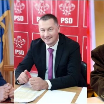 Ce responsabilități au primit  în Parlament noii Senatori ai județului Hunedoara