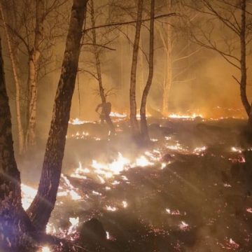 Zece hectare de vegetație uscată au ars pe Maleia