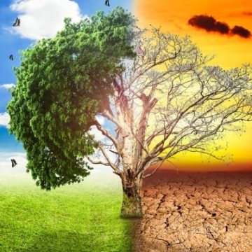 76% dintre români sunt îngrijorați de efectele schimbărilor climatice