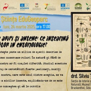 Elevii din geoparcurile României s-au întâlnit online cu cercetătorii într-o nouă serie a Școlii de Științe EduGeoparc