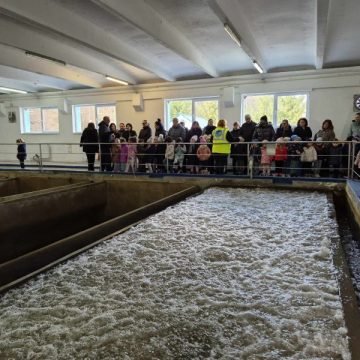 Circuitul apei în natură se învață încă de la grădiniță la „Școala Apa Serv”