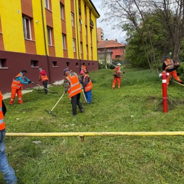 Cosașii din Petroșani au intrat „în pâine”