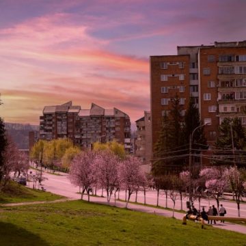 Mai mult verde pentru Lupeni! Peste 400 de arbori ornamentali noi plantați pe domeniul public.