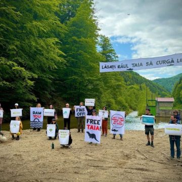 Protest al organizațiilor ecologiste pe valea râului Taia, pentru salvarea biodiversității acestuia
