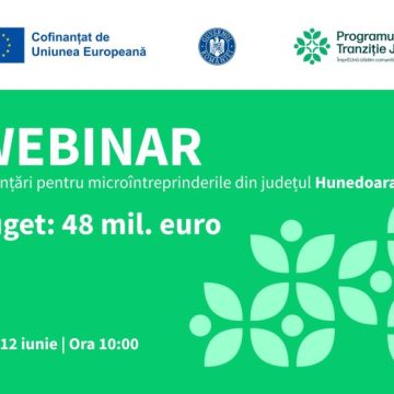 Webinar informativ dedicat microîntreprinderilor din județul Hunedoara privind oportunitățile de finanțare pe Programul de Tranziție Justă