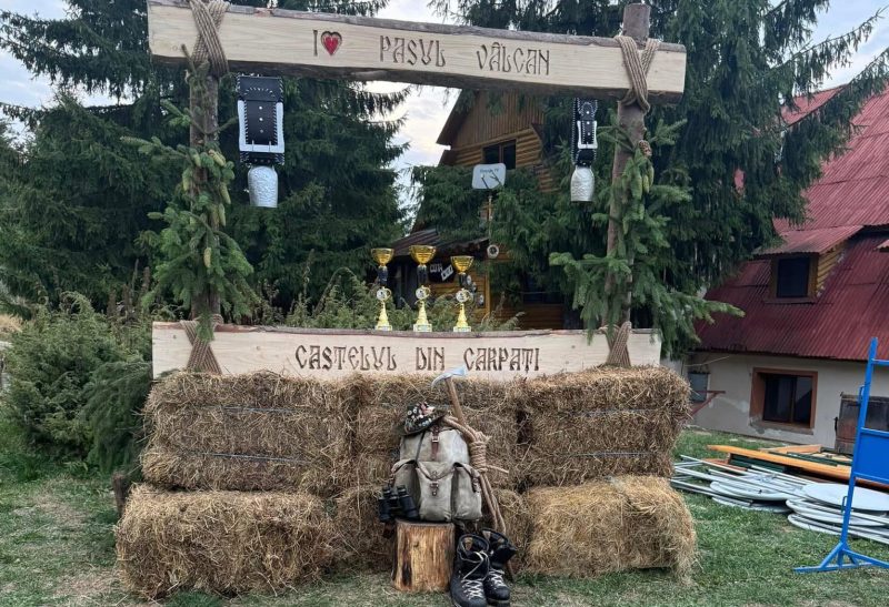 Cover Castelul din Carpati