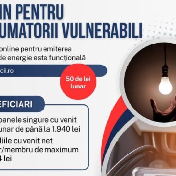 Platforma electronică EPIDS pentru acordarea tichetului de energie este funcțională