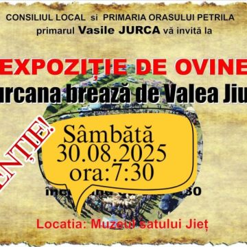 Expoziție de ovine ”Țurcana Brează de Valea Jiului”, la sfârșit de august, la Petrila