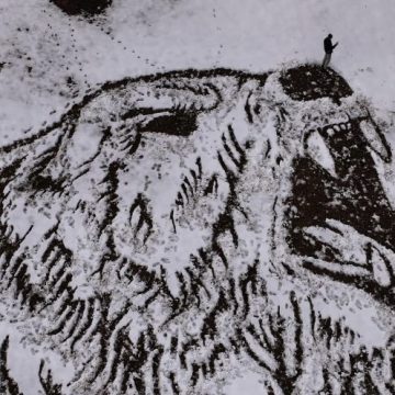 „Ursul” lui Paul Șerban, „pictat” pe zăpadă în munții Văii Jiului
