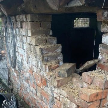 Pagube provocate de urs pe Valea Morii, în Vulcan. Primarul Cristian Merișanu cere soluții radicale!