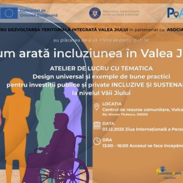 Cum arată incluziunea în Valea Jiului? Dialog comunitar pentru o regiune accesibilă tuturor