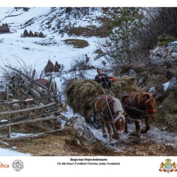 Universitatea Babeș-Bolyai din Cluj găzduiește expoziția „Fotogeografica 2025”