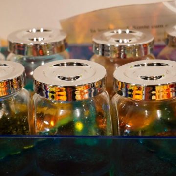 Când gustul devine poveste: NutriCreativ își închide sezonul cu „Fragmente de memorie comestibilă”