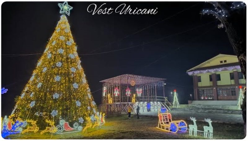 La Uricani, sărbătorile vin cu lumini colorate și singurul brad natural împodobit în Valea Jiului