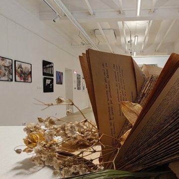 Artă și educație, de Ziua Culturii Naționale, la Galeria Națională de Artă „Forma” din Deva