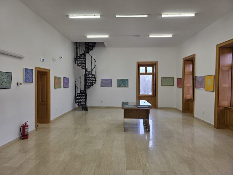 Expoziție de artă plastică semnată Nicoleta Racikovski la Castelul Nopcsa