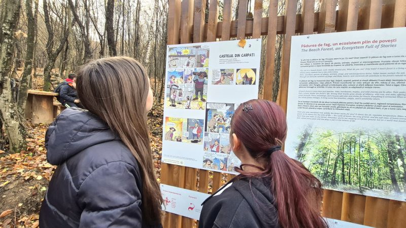 Proiectul „Poteca de poveste de la Cetatea Colț” a primit Premiul „Spații verzi 2025”