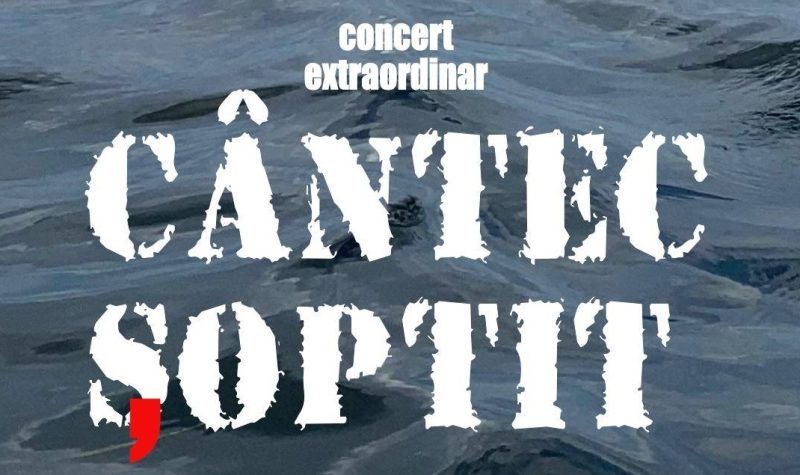 644426381_122159921414926452_1914065320479420713_n Artistul Cătălin Stepa, parte a turneului național de folk „Cântec șoptit”