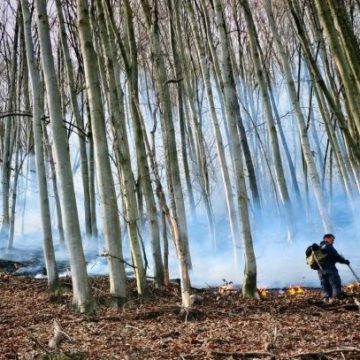 649635593_1360889129415821_2155814453652700656_n Măsuri pentru prevenirea incendiilor de vegetație uscată în județul Hunedoara