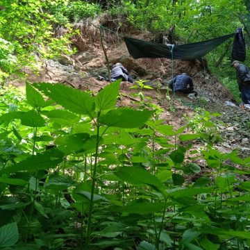 7.Imagine din timpul lucrărilor în sit. Foto Valioara Dinosaur Research Group (VDRG). Dinozaurul „ascuns”, o nouă specie erbivoră descoperită în Geoparcul Internațional UNESCO Țara Hațegului al Universității din București