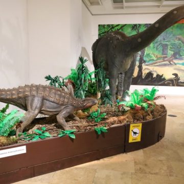 Dinozaurii descoperiți în Geoparcul Țara Hațegului, în centrul unei expoziții internaționale dedicată insulelor dispărute din Cretacic