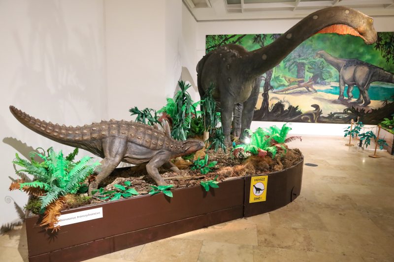 Váncsa Klára - Muzeul 'Munkácsy Mihály', Békéscsaba_IMG_3970 Dinozaurii descoperiți în Geoparcul Țara Hațegului, în centrul unei expoziții internaționale dedicată insulelor dispărute din Cretacic