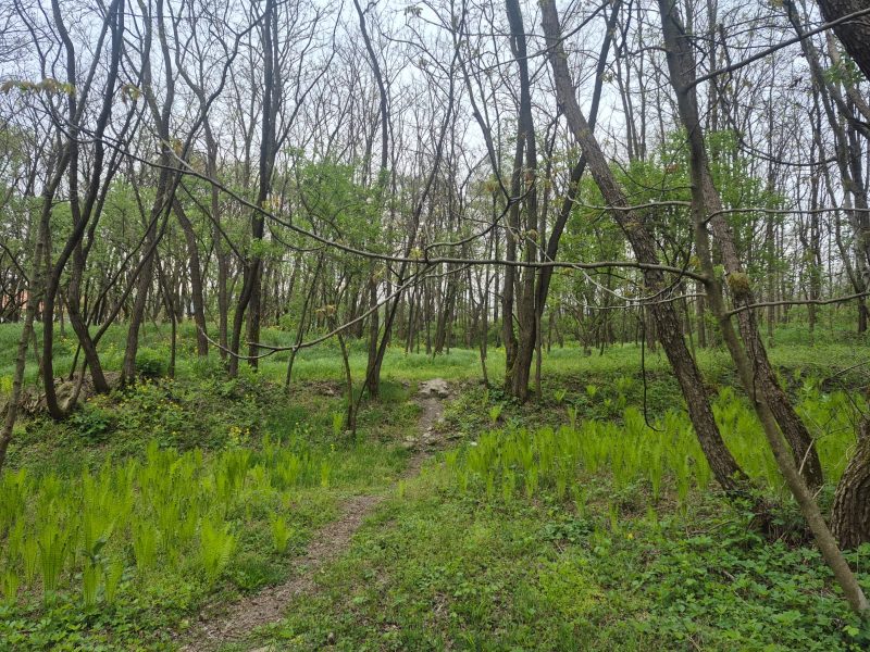 Foto Rau Barbat_GIUTH2 Râul Bărbat și povestea dinozaurilor inspiră un nou proiect educațional în Geoparcul Țara Hațegului