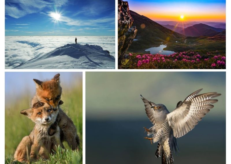 Expoziția „Fotogeografica” ajunge la Bistrița prezentând arta fotografică la superlativ