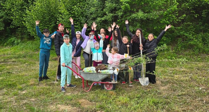 FB_IMG_1780395837427 „Pădurea Glasurilor de Argint” – un dar verde pentru viitor