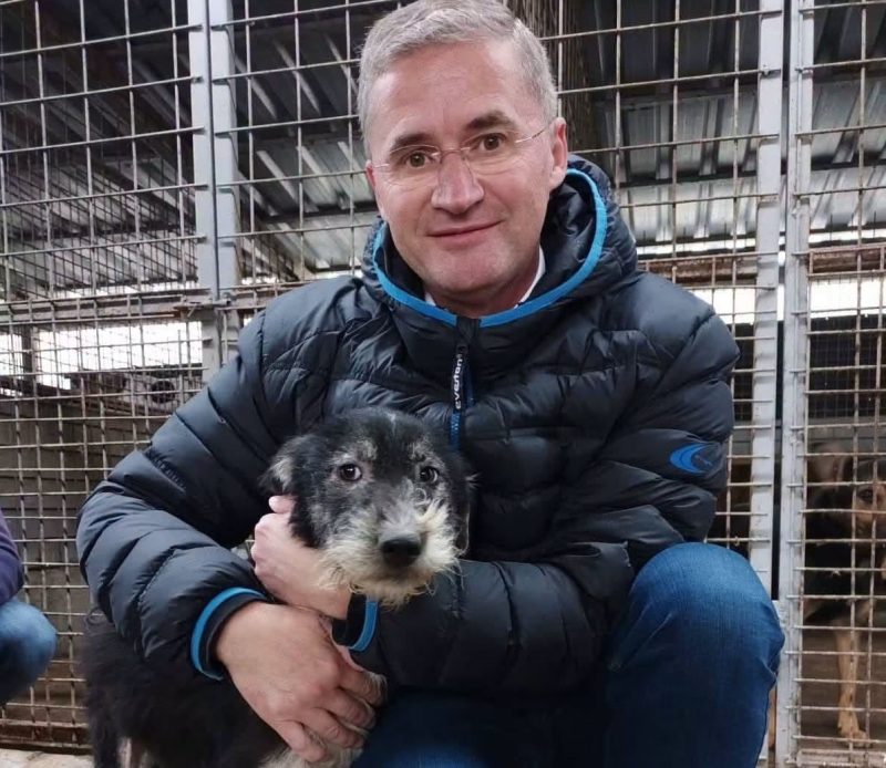 Petroșaniul alocă 30.000 de lei pentru sterilizarea câinilor cu sau fără stăpân