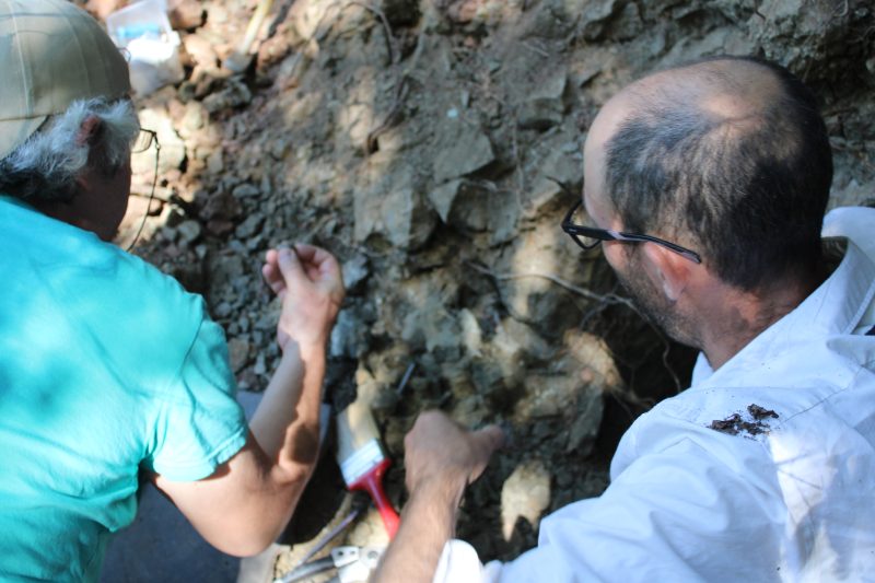 Pe urmele dinozaurilor de acum 70 de milioane de ani, la Școala de vară din Geoparcul Internațional UNESCO Țara Hațegului